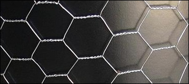 Hot dipped galvanized after weaving hexagonal netting for poultry breeding uses