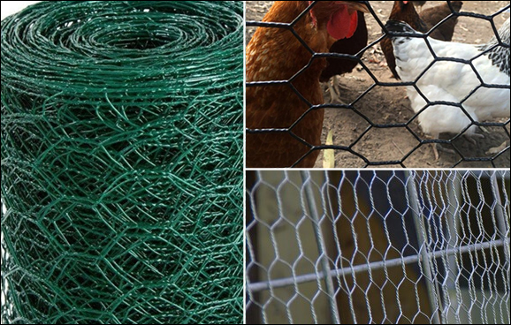 Hex mesh poultry netting for chicken coop, pet pens, fencing for domestic fowls and gardens