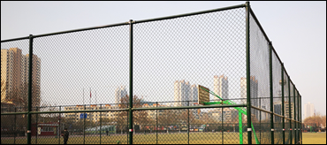 Green Powder Coated Galvanized Chain Link Fence for playground perimeter fencing