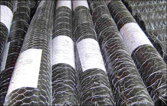 Hot Dipped Galvanized After Weaving Mesh Wire for Plant Root Guarding