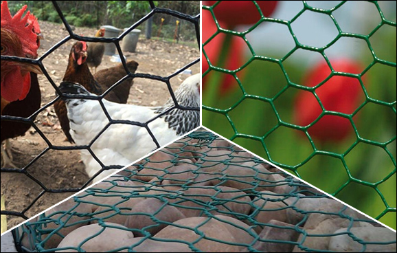 Pvc coated wire mesh for chicken and poultry fencing