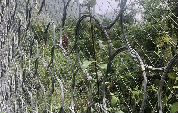 Chain Link Mesh reinforced with Wire Rope Rings